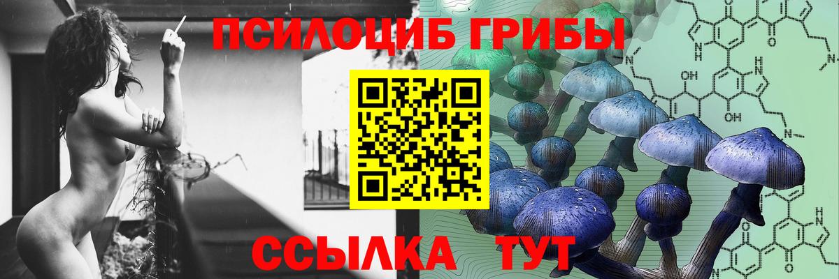 Сердобск  Псилоцибиновые грибы Psilocybe  Вход с VPN  Галлюциногенные грибы мухоморы 